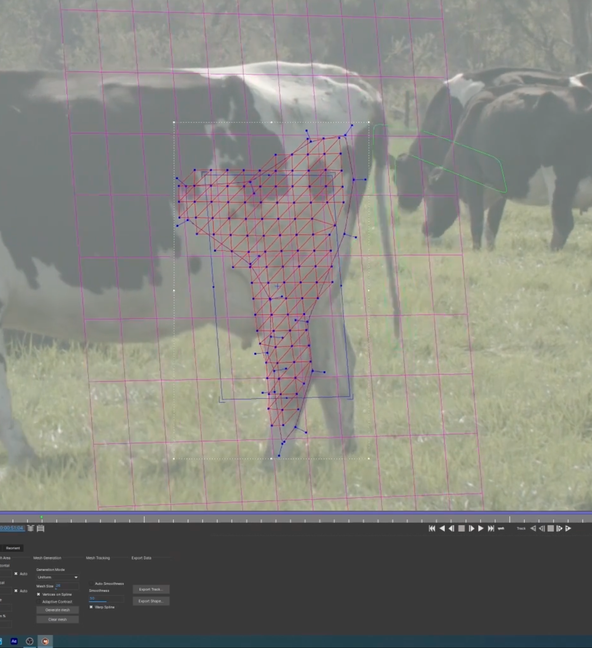 Cleaning Cows